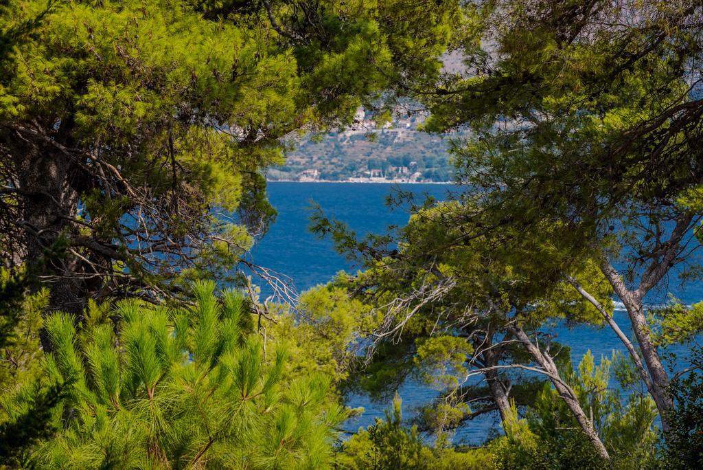 Apartment Dora Cavtat Exteriér fotografie